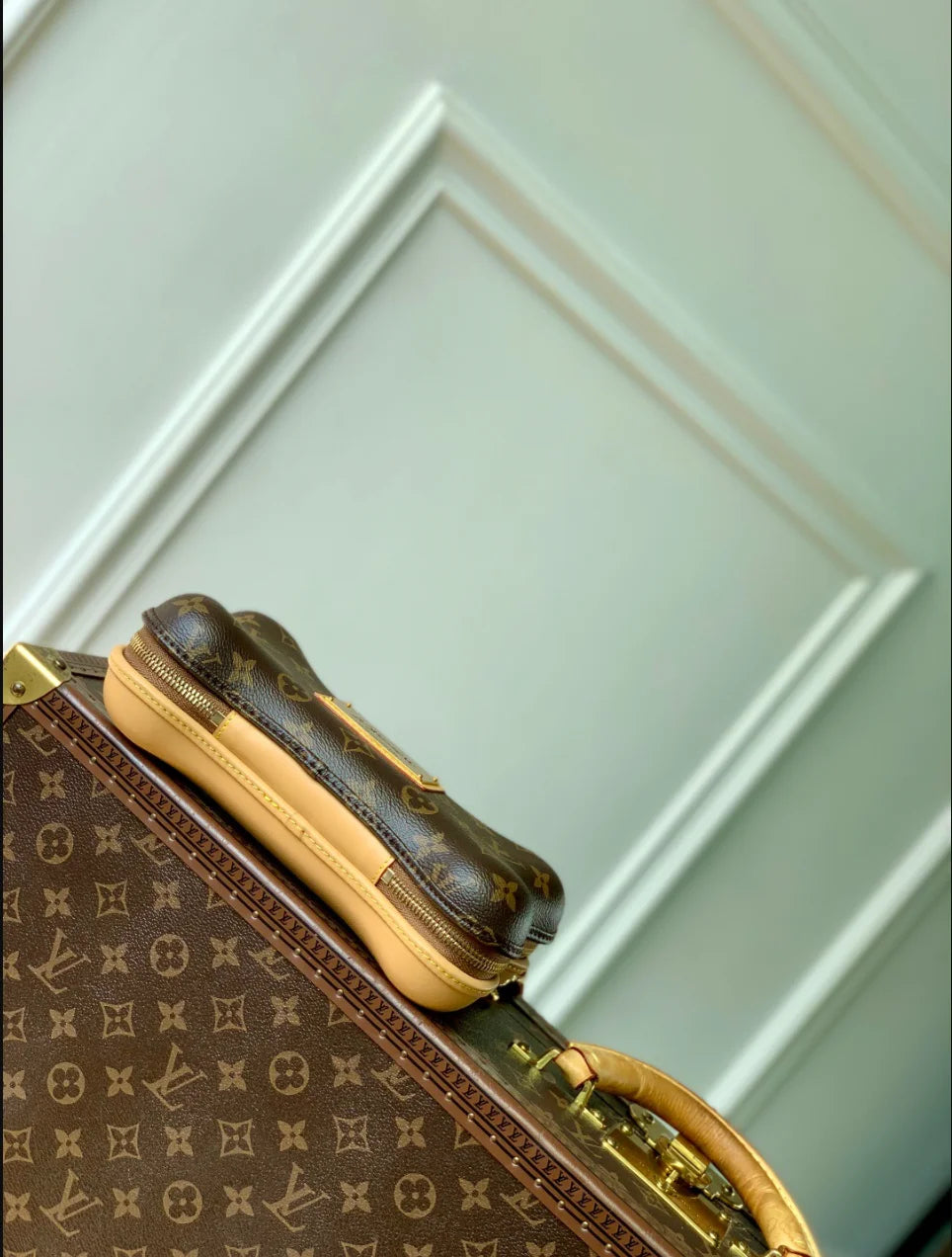Bone Wearable Wallet